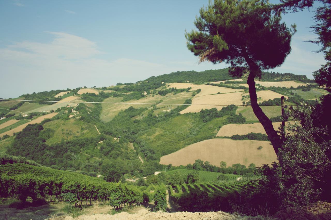 Il Podere Del Nonno Ripatransone Exterior foto