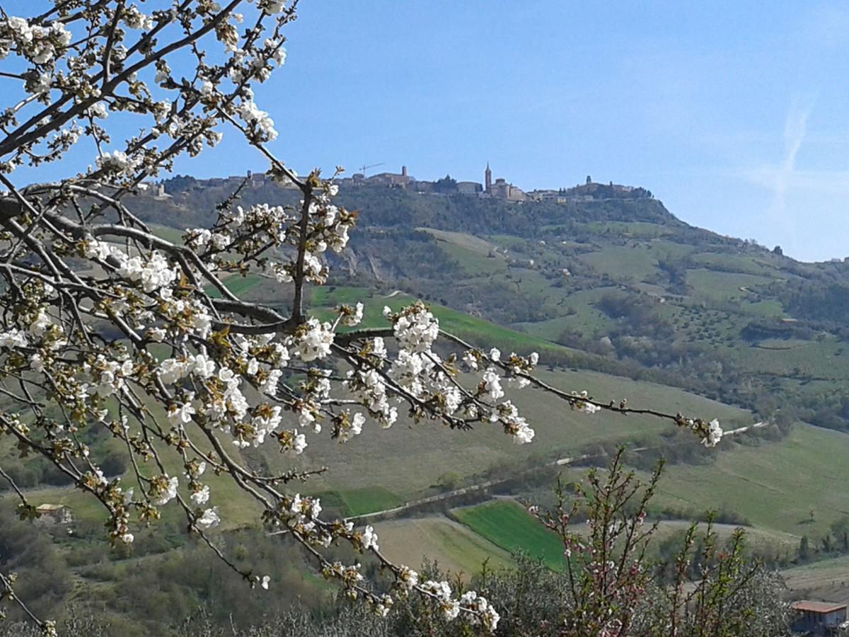 Il Podere Del Nonno Ripatransone Exterior foto